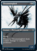 Thrummingbird