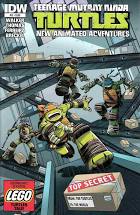 TMNT: New Animated Adventures # 12 (IDW Comics 2014)