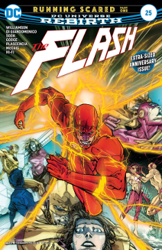 Flash (2017) # 25 (DC Comics 2017)