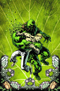 Swamp Thing #  2 (DC Comics 2011)