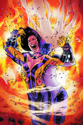 Phantom Lady # 4 (DC Comics 2012)