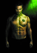 Arrow Season 2.5 #  1 (DC Comics 2014)