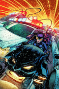 Catwoman (2012) # 17 (DC Comics 2013)