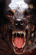 Squarriors volume 2 # 3 of 4 (Devils Due Entertainment 2018)