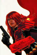 Winter Soldier # 10 (Marvel Comics 2012)