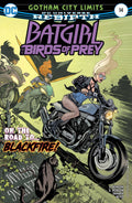 Batgirl and The Birds of Prey # 14 (DC Comics 2017)