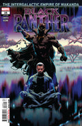 Black Panther volume 2 # 16 (Marvel Comics 2019)
