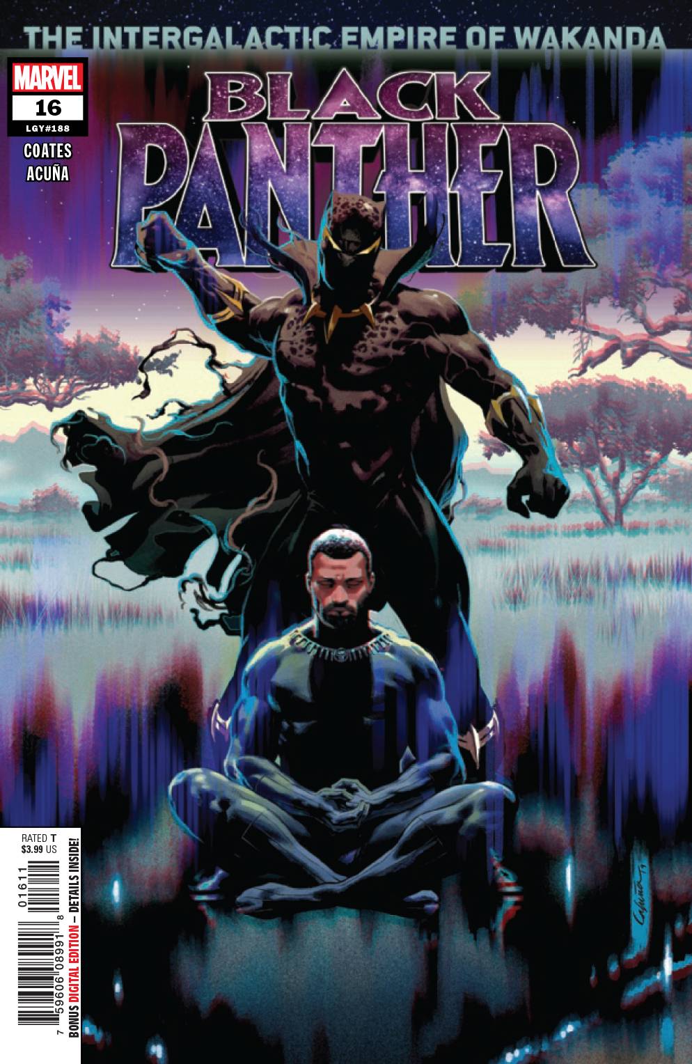 Black Panther volume 2 # 16 (Marvel Comics 2019)