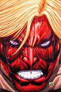 Grifter # 12 (DC Comics 2012)