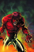 Ravagers #  4 (DC Comics 2012)
