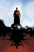 Batman Superman # 11 (DC Comics 2014)