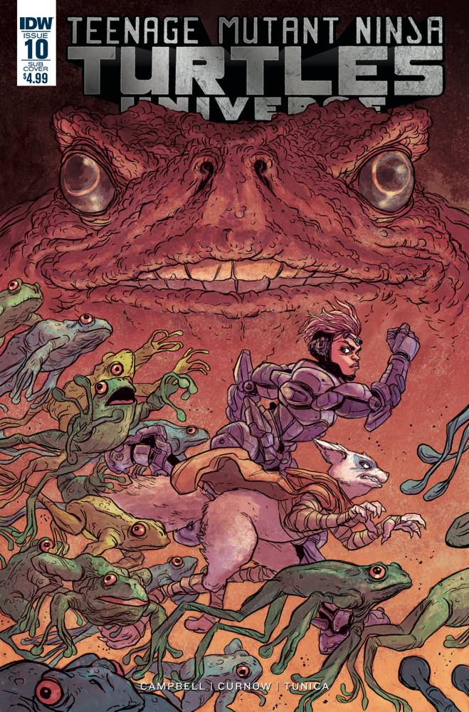 TMNT Universe # 10 (IDW Comics 2017) Subscription Variant Cover