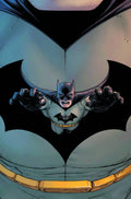 Batman Incorporated # 13  (DC Comics 2013)