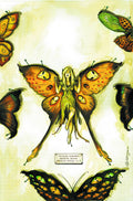 Saucer Country # 11 (Vertigo Comics 2013)