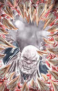 Descender # 18 (Image Comics 2016)