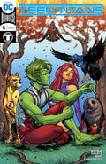 Teen Titans # 16 (DC Comics 2018) Variant Cover