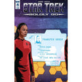 Star Trek: Boldly Go # 4 - Subscription Variant Cover (IDW Comics 2016)