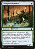 Springbloom Druid